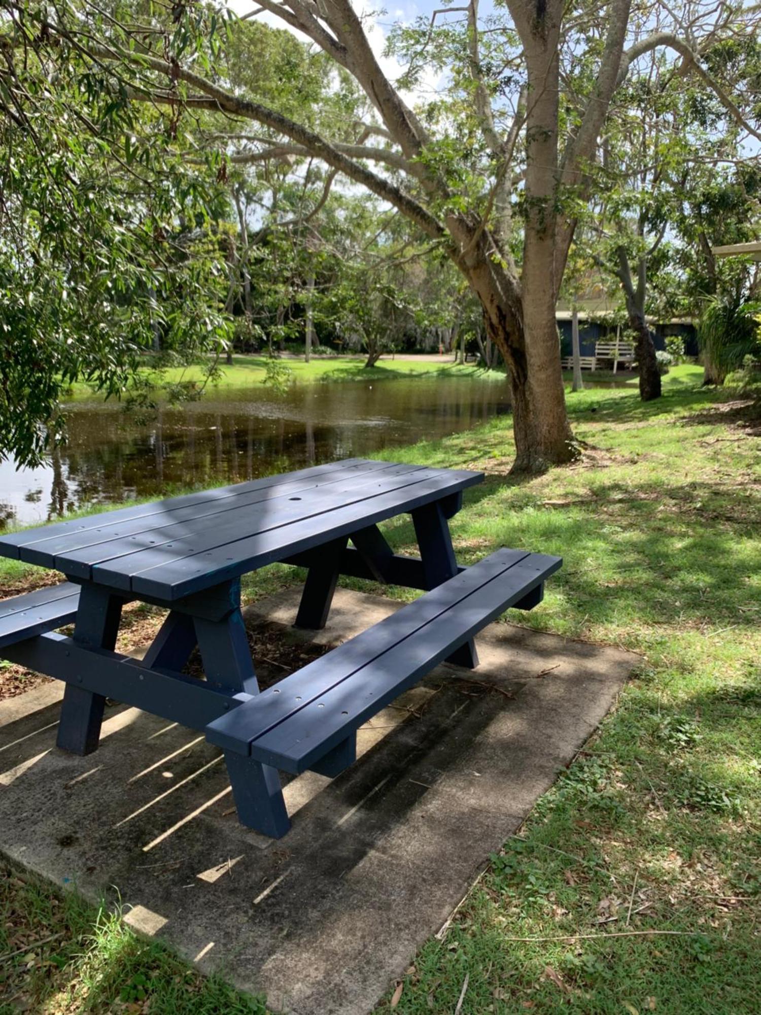 Turtle Cove Front 300m To Apartment *