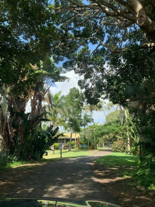 Turtle Cove Front 300m To Apartment