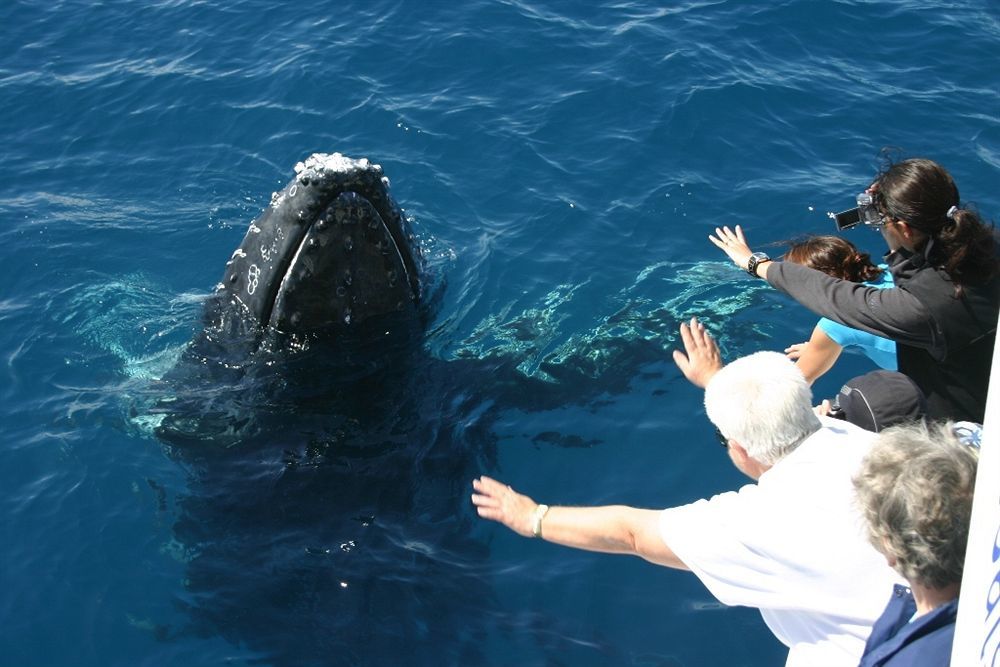 Holiday park Discovery Parks - Fraser Street, Hervey Bay Hervey Bay