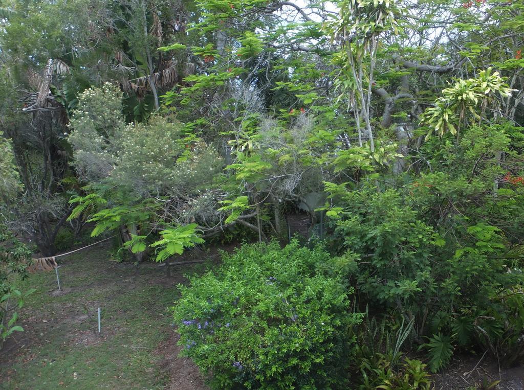 Torquay Terrace Bed & Breakfast Bed & Breakfast Hervey Bay