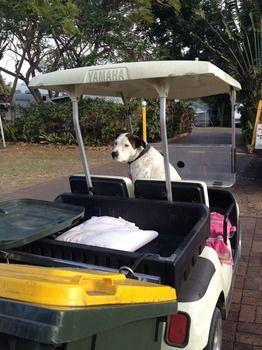 Palms Caravan Park Hotel