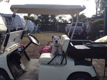 Hotel Palms Caravan Park 3*
